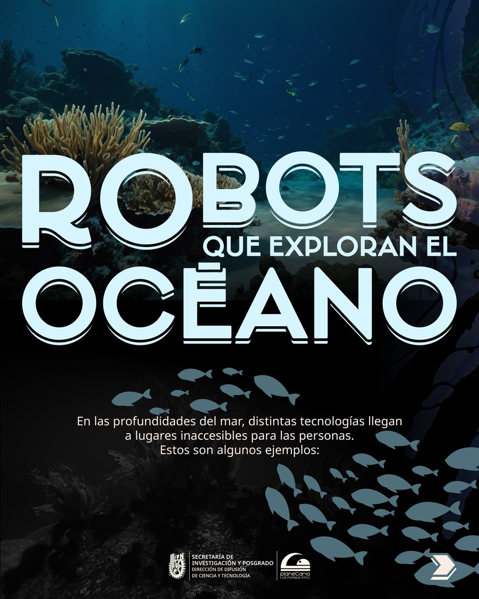 MuseoTezozomoc's tweet photo. 🌊🤖 ¿Hasta dónde puede llegar un robot bajo el mar?
AUV, ROV y robots bioinspirados exploran las profundidades del océano. 🔬🐠
#Robótica #Ciencia #Océanos #MuseoTezozómoc #IPN https://t.co/TiMyGID6gx