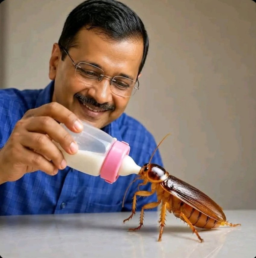 Alexnnct's tweet photo. @AshutoshRanka @deepakbaliyan90 @Cockroachisback https://t.co/mTEoUYvvbp
