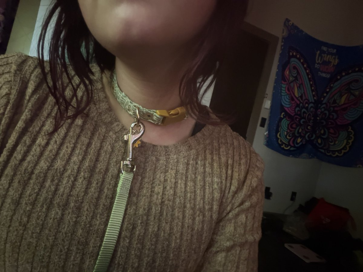 pretty_boy2008's tweet photo. Leashed and collared!!! https://t.co/lHmfWiBGAf