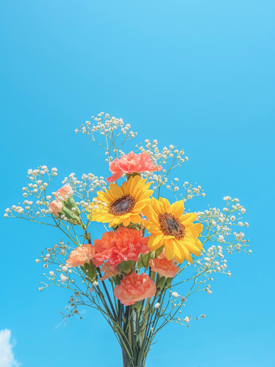 Pure_naturess's tweet photo. https://t.co/wP5U4ryDZb