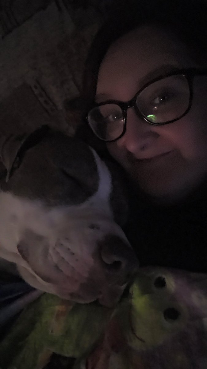 starcommand2108's tweet photo. Cosy evening 📚🐾 https://t.co/KxJkkC31Fa