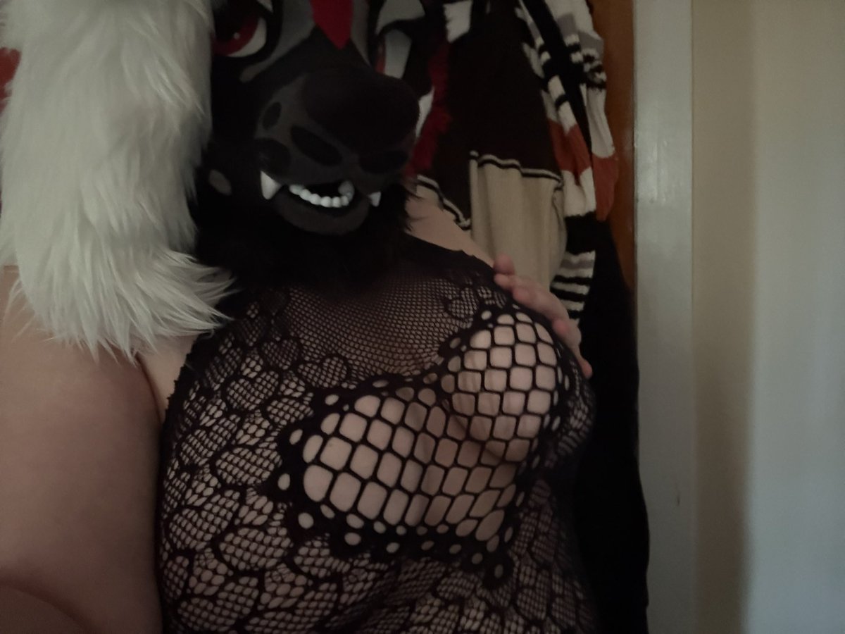 GenzyPawsAD's tweet photo. Slowly getting back into the flow after being sick, I am still recovering but I feel a lot better! Here’s some cute pics from your chubby wolfie~ 🤭🖤 https://t.co/7CoaUMF1NS