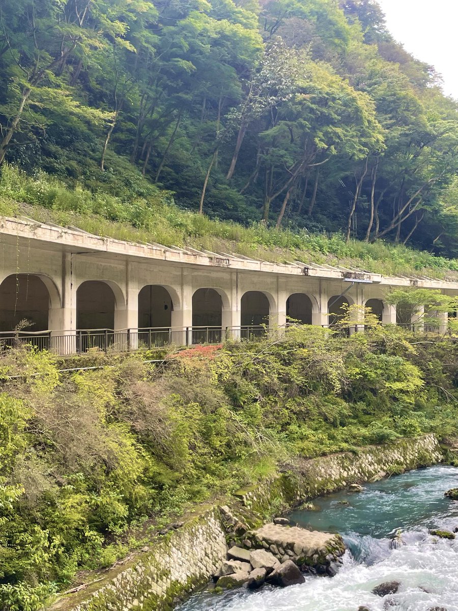 Hituzi793's tweet photo. 箱根温泉へ行ってきました♨️
わかりづらいですが、少しずつ山肌が色づき、小さい秋が始まっていましたよ🍁

ドラマ『俺たちの箱根駅伝』も明日から始まりますね！
近頃、連ドラウォッチャーなテイ子さん、よかったら“俺箱”もチェックされてみては🏃‍♂️🏃💨
#ときめきパシャ https://t.co/8swS0vVqv3