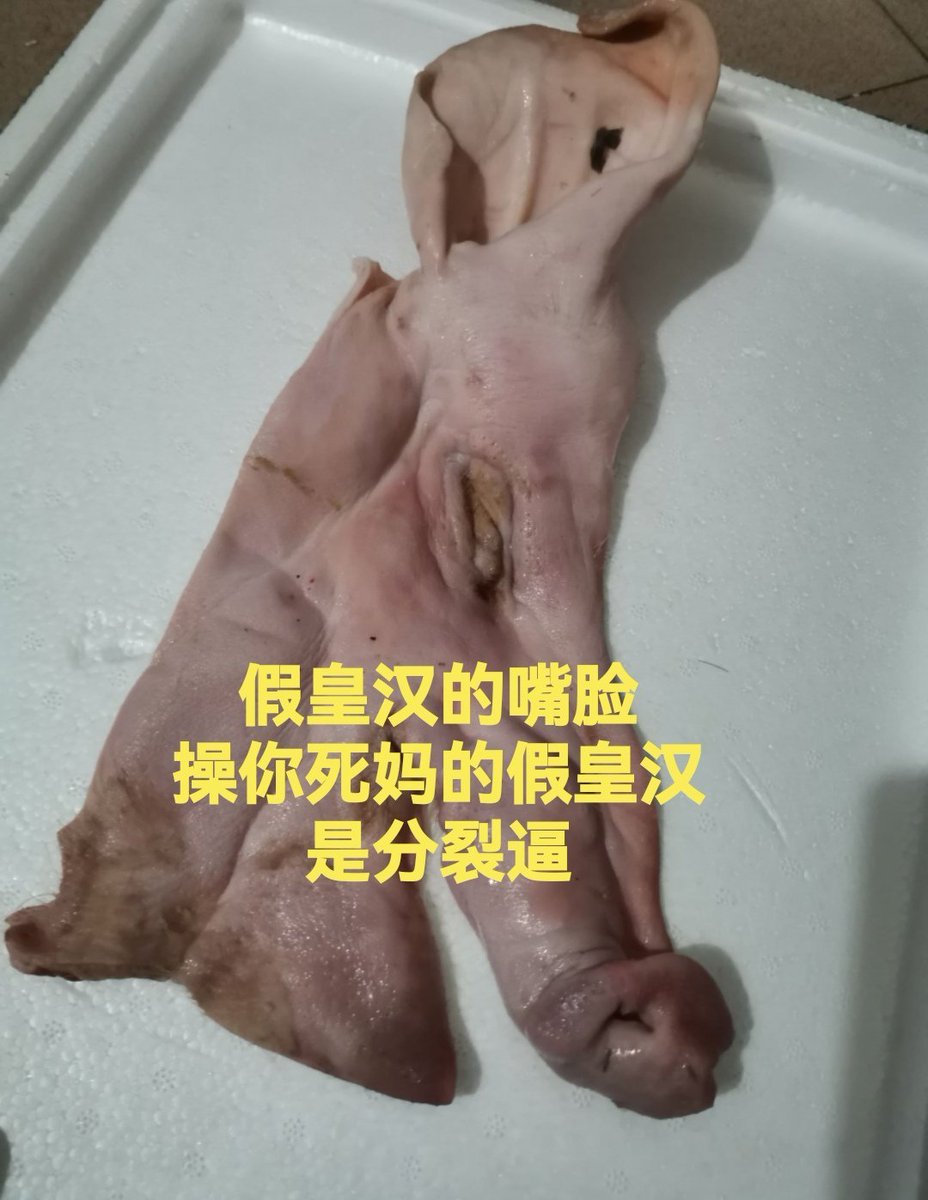 vicooci2007's tweet photo. @A47035923 @Leon14650704 @anyaxu3465 🤭你发的是你祖先，跟曹尼亲吗的客人有什么关系？有什么关系？
尼这个思亇的满遗野猪皮😂😂🤭 https://t.co/IDkgV8rYQL