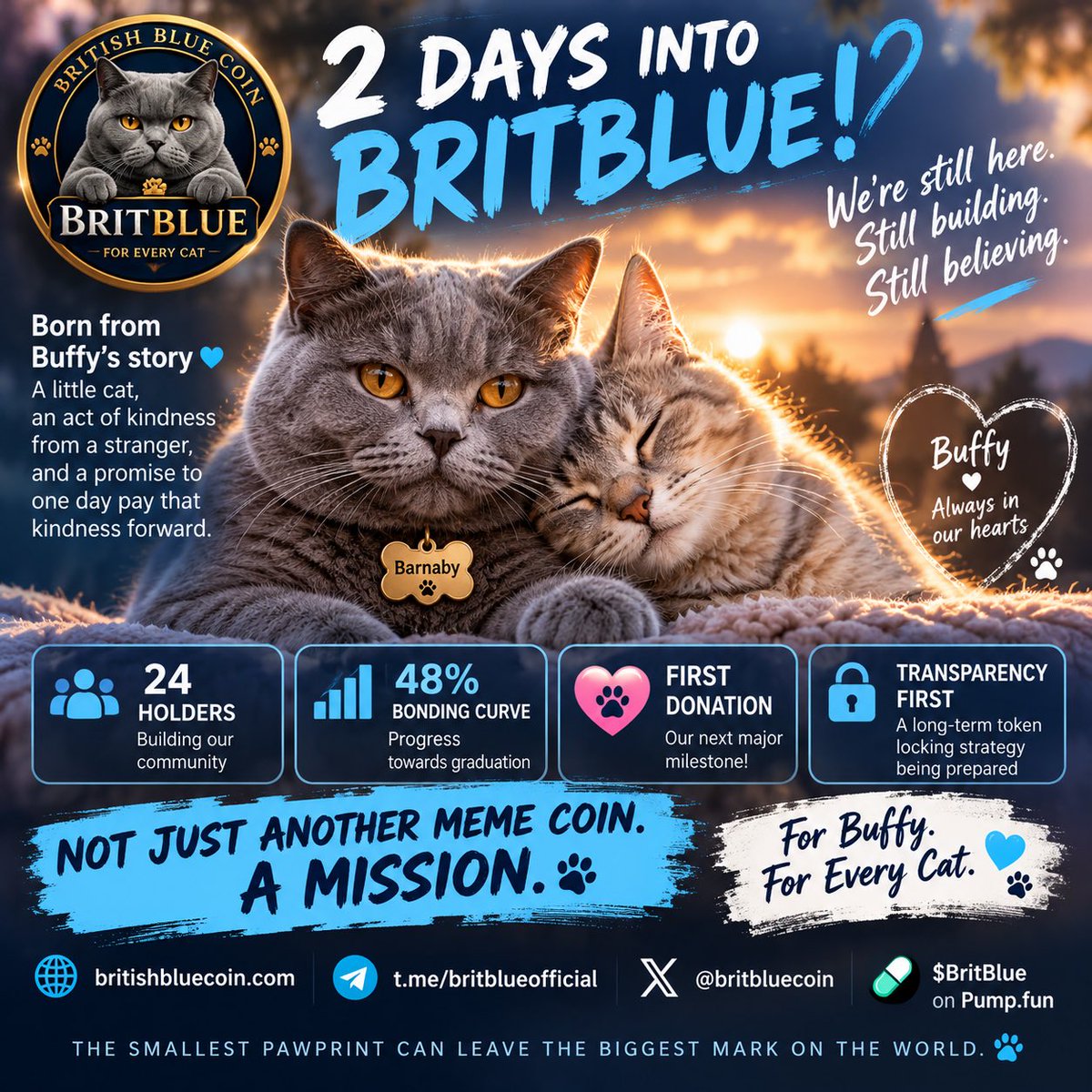BritBluecoin's tweet photo. 🐾💙 2 DAYS INTO BRITBLUE!

We’re still here. Still building. Still believing.

🐱 Born from Buffy’s story
💙 48% bonding curve progress
🎯 First cat welfare donation ahead
🔒 Transparency first. Community always.

Not just another meme coin. A mission.

For Buffy. For Every Cat. 🐾

$BritBlue #Solana