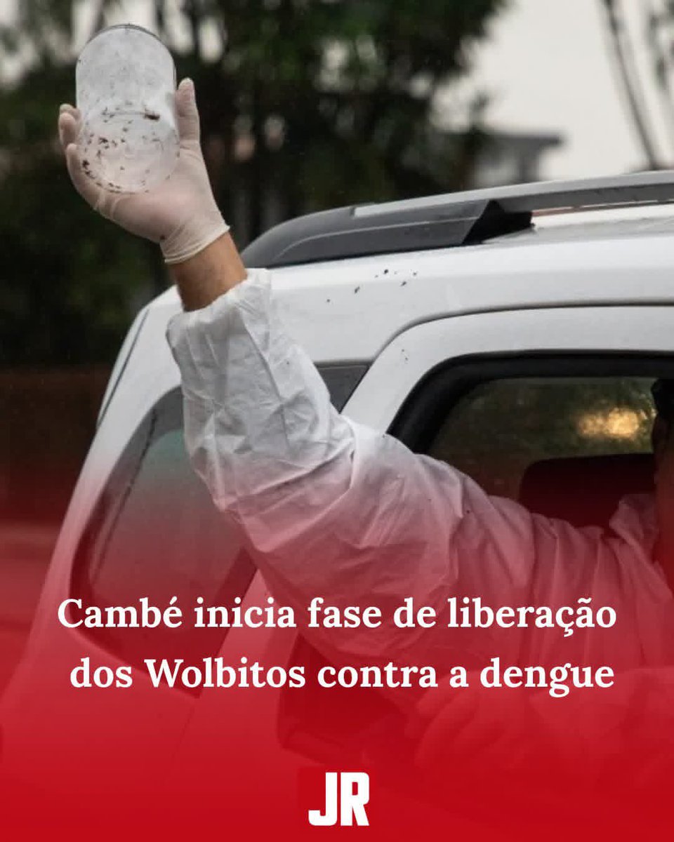 JR18ANOS's tweet photo. Cambé inicia fase de liberação dos Wolbitos contra a dengue
Município iniciou a liberação do mosquito com bactéria Wolbachia para controle e prevenção da dengue
LEIA:
https://t.co/EccW5qtRH2
#JR #umjornalregional #rolandia #cambe #dengue #aedesaegypti #wolbitos https://t.co/gPhqkEjVpy