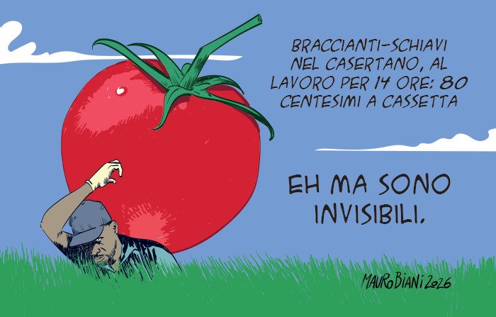 nonsonpago1's tweet photo. #Braccianti-#Schiavi nel #Casertano,
al #lavoro per #14ore: #80centesimi a #cassetta
Eh ma sono #invisibili.

#Biani !❣️👏

Ma noi combattiamo la #mafia...la colpa è dell' "#immigrazioneclandestina"😑

Siamo un Paese di #corrotti, #disonesti e #malvagi.🤬

@maurobiani
@repubblica https://t.co/Ps7WSUQ5ID