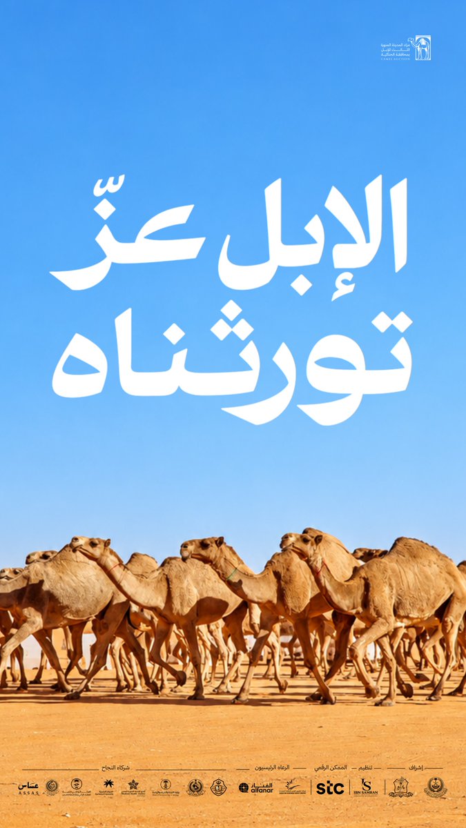 Camel_Auction_3's tweet photo. الإبل إرثٌ أصيل تتوارثه الأجيال، ورمزٌ لعراقة الموروث السعودي. نحتفي بها في مزاد المدينة المنورة الثالث للإبل بمحافظة الحناكية 🐪

#مزاد_المدينة_المنورة_الثالث_للإبل https://t.co/ivf34bcXQ5