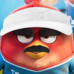 Photo by The Angry Birds Movie 3 (@AngryBirdsMovie)