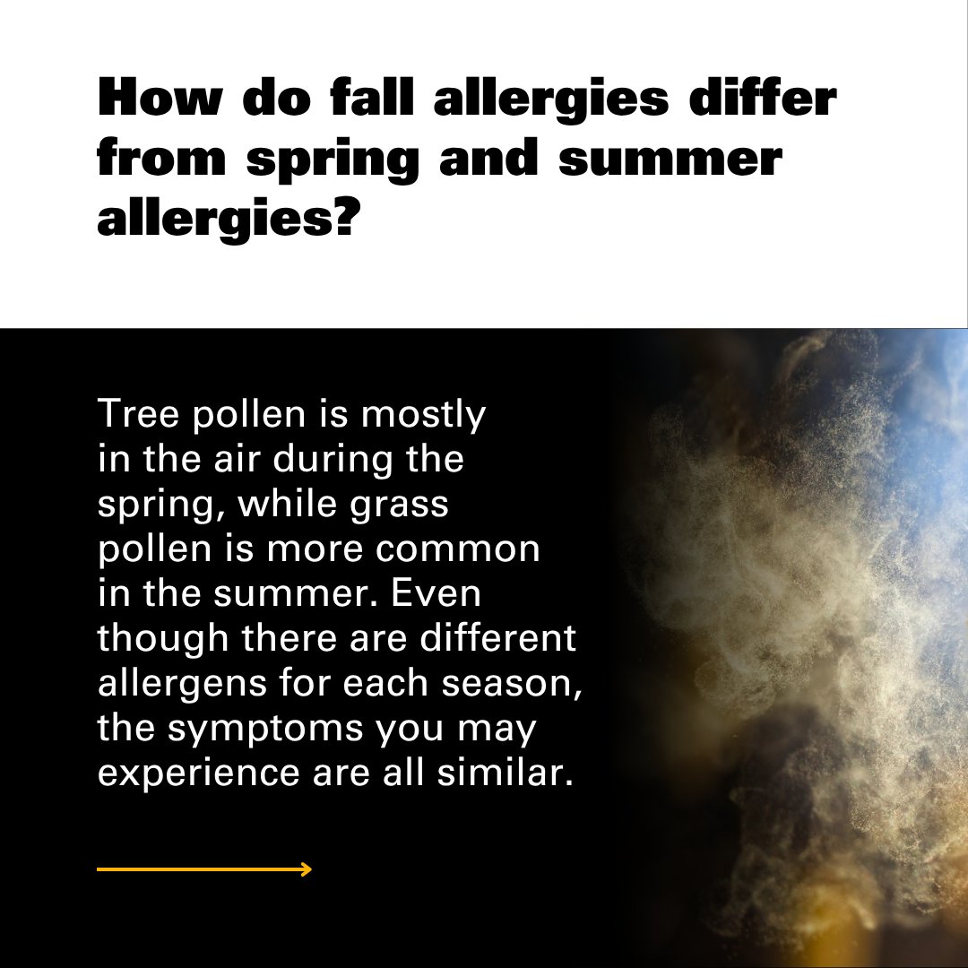 VCUHealth's tweet photo. Avoid falling for seasonal allergies with expert tips from a VCU Health allergist. https://t.co/An5aoWfcna 🍂🤧 https://t.co/trCAEbJuao