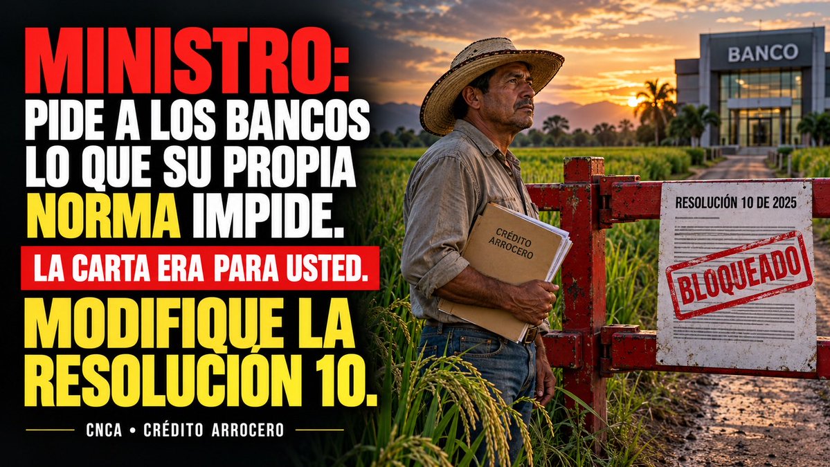 JuanPabloPineda's tweet photo. Qué fácil es pedir, Ministro, lo que la norma no deja hacer.

Los bancos no pueden reestructurar ni normalizar esa cartera: la Resolución 10 de 2025 de la CNCA, artículo 9, numeral 2, dice que la normalización solo procede por redescuento. La cartera sustitutiva —donde están los medianos y grandes arroceros, el 76,5% del saldo de Casanare según su propia carta— quedó por fuera. El banco que le haga caso pierde la validación ante FINAGRO y paga el castigo comprando TDA.

¿Y quién preside la CNCA que escribió esa regla? Usted. ¿Y quién certifica la "situación económica crítica" que activaría la refinanciación del artículo 25? Su Ministerio.

Esta carta no era para Asobancaria, Ministro. Era un memorando para usted mismo. Modifique la Resolución 10.
@Asobancaria @MinAgricultura @MinHacienda @miguel_gomez_m @SAColombia @CaracolRadio @jsanchezcristo @FEDEARROZGREMIO