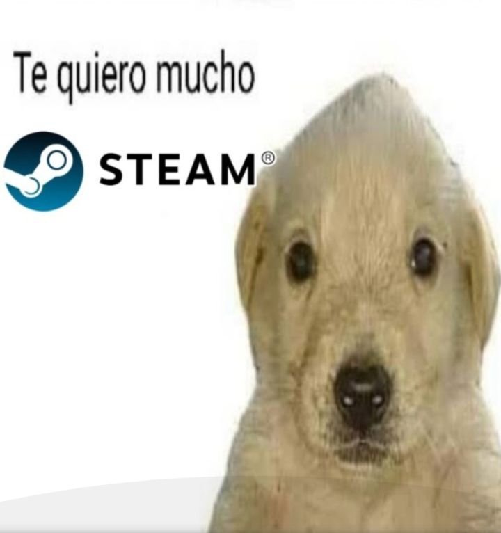 SoloEnSteam's tweet photo. https://t.co/3O8tdnXvNA