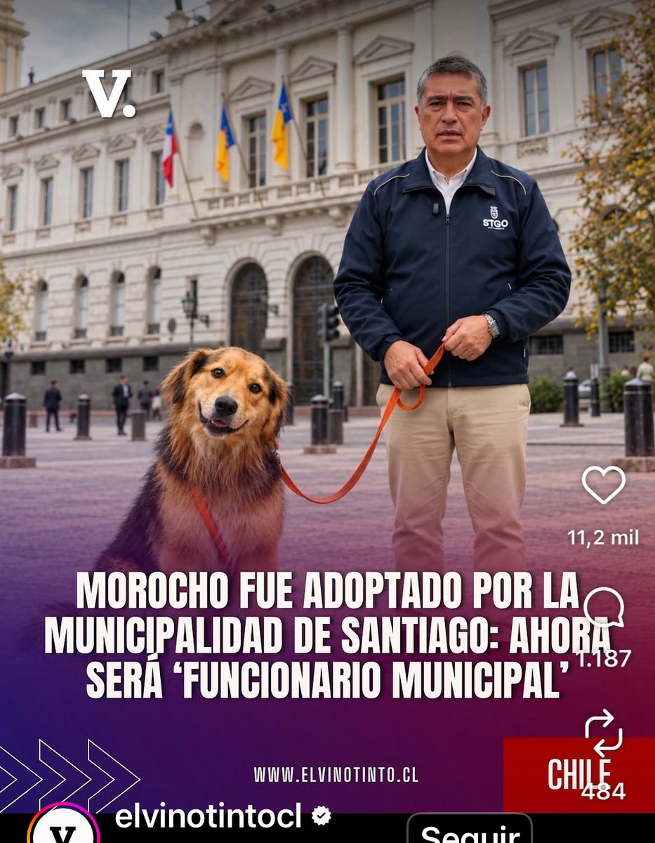 ohpudu's tweet photo. Eri un perro, estai teniendo el PEOR día de tu vida y pa rematar te “adopta” Desbordes https://t.co/UzOpMxdu8g