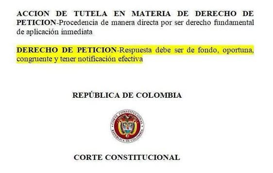 juridicascol's tweet photo. CORTE CONSTITUCIONAL RECUERDA CÓMO DEBE SER LA RESPUESTA A UN DERECHO DE PETICIÓN

✍️ ¿DESEAS ESTAR ACTUALIZADO DIARIO DE TODA LA JURISPRUDENCIA DEL PAIS? SUSCRIBTE 👉https://t.co/BfjLIlBhtB https://t.co/XxKQbnOhUV