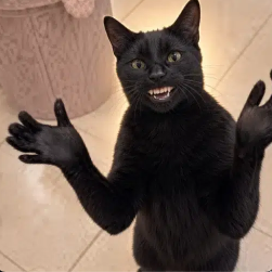 NeroxSol's tweet photo. Tiktok Coin is at 400k 

Pairing this Viral Clapping Cat meme on tiktok to TikTok Coin

https://t.co/QU4otnoCGl https://t.co/LrzDQsOsCm