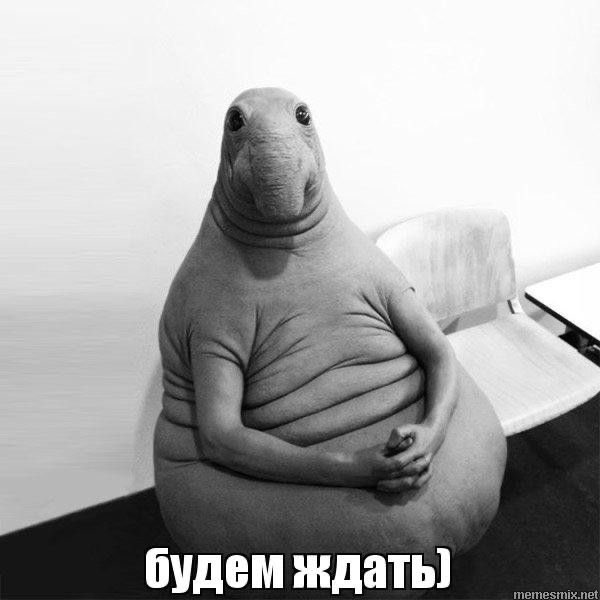 wildqixx's tweet photo. @solo42441 https://t.co/VfnBzbvJg3