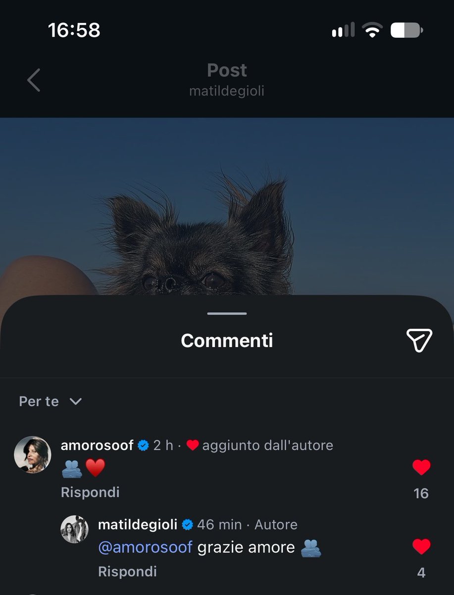 livelifeVale's tweet photo. Nulla contro il post di Matilde Gioli ma Cara #Alessandra faresti un favore anche ai tuoi fan se ti ricordassi ogni tanto che esistiamo ... https://t.co/bVeirksRAS