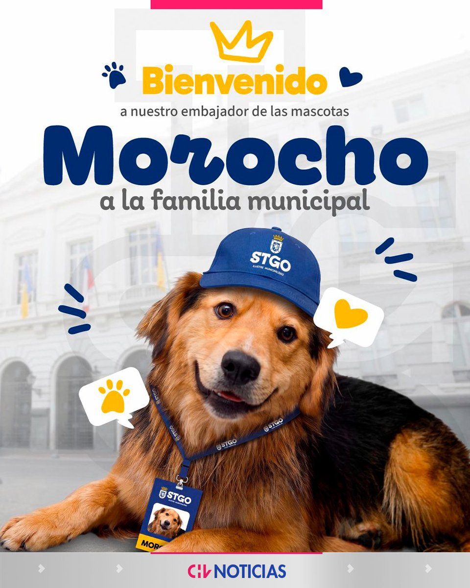 chvnoticias's tweet photo. ¡FINAL FELIZ! 😍
🐶 “Morocho”, el perro que conmovió a cientos de personas tras quedar atrapado en el río Mapocho, encontró un hogar.
La Municipalidad de Santiago confirmó que adoptó al animal, quien se incorporará a la Dirección de Seguridad y tendrá un nuevo rol dentro de la institución.
🦮 El can fue rescatado tras un operativo que contó con la participación de funcionarios especializados y, luego de que su historia se hiciera conocida, varias personas manifestaron su intención de adoptarlo. Sin embargo, finalmente permanecerá bajo el cuidado del municipio, que le dará un espacio seguro y lleno de cuidados.
#CHVNoticias #CHVNacional