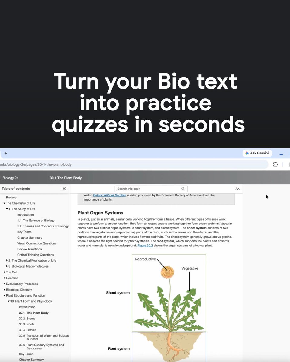 A dark promotional graphic reads, “Turn your Bio text into practice quizzes in seconds,” above a Chrome screenshot of a Biology 2e textbook page on “30.1 The Plant Body.” The open page shows a table of contents and a diagram of “Plant Organ Systems” labeling the “Shoot system,” “Root system,” “Reproductive,” and “Vegetative” parts, illustrating how Gemini can turn study materials into practice quizzes.