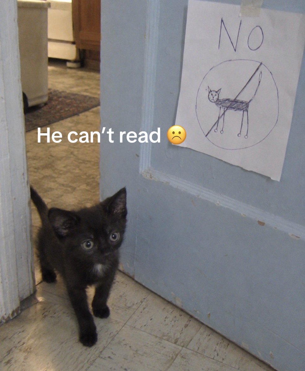 hardcatmemes's tweet photo. https://t.co/8bpF4xDgHf