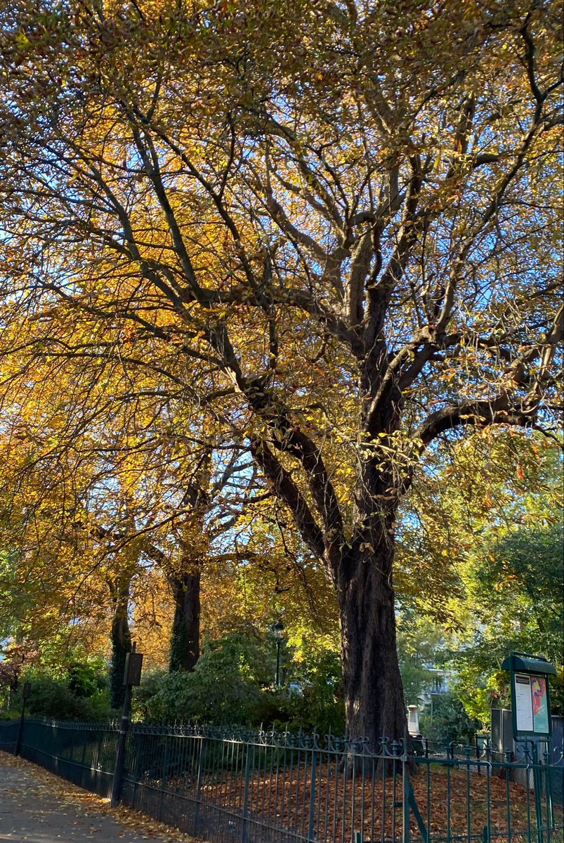 MORIBOND2's tweet photo. October is here. The wind is brisker, cache-cols are out in all colours and motifs. A new semester begins, new people and new habits. Work has been exhausting but rewarding at the same time, and I’ve learned so much. Pressure truly is a privilege and beauty is everywhere https://t.co/JWWBzQCBbR