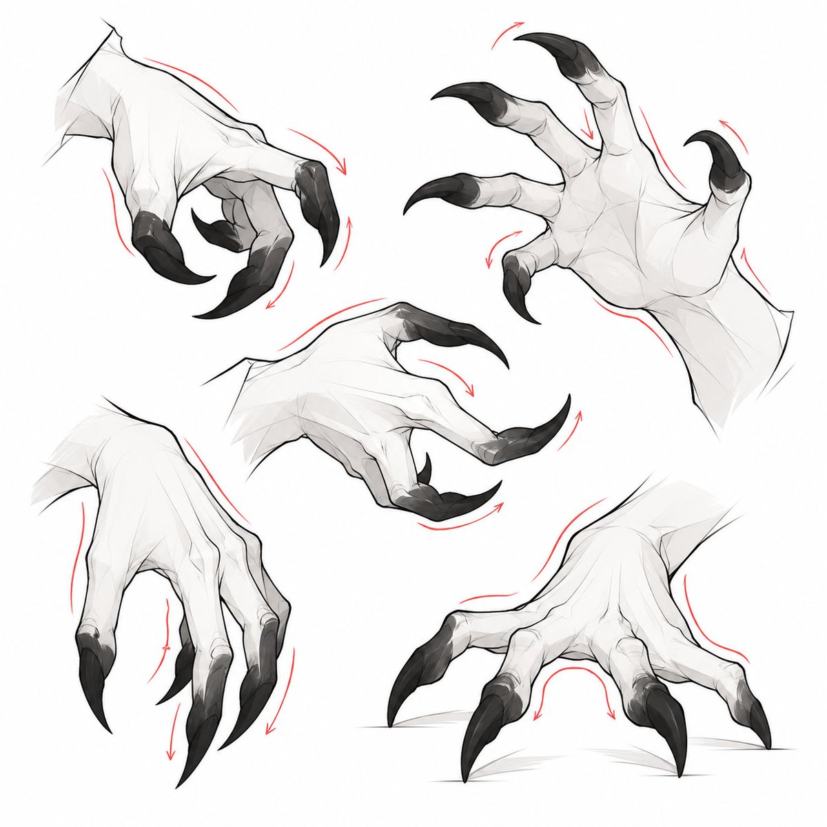 LumiCanvass's tweet photo. Claws need flow, not stiffness. https://t.co/RpdhB048x5