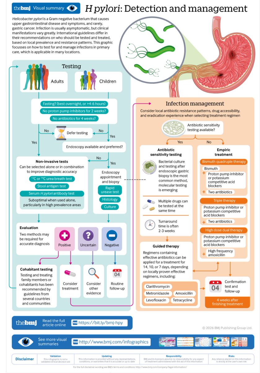 ABsteward's tweet photo. Helicobacter pylori is a Gram negative bacterium that causes upper gastrointestinal disease and symptoms, and rarely, gastric cancer.
🆕💥🟢Clinical update: Assessment and management of Helicobacter pylori infection #idxposts
https://t.co/RwLpcmBhRg https://t.co/BCFSkc4wnZ