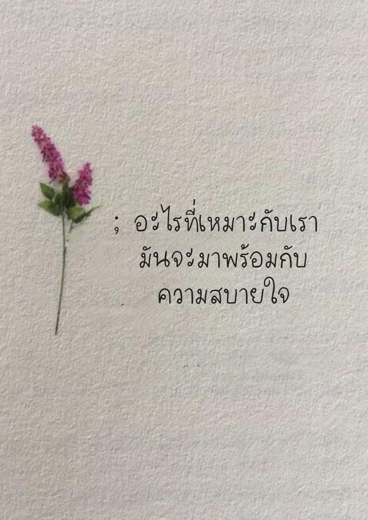 31filx's tweet photo. https://t.co/h2QjkPdCrW