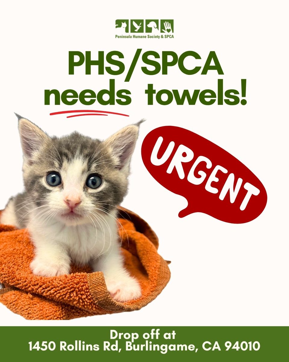 PeninsulaHumane's tweet photo. The Peninsula Humane Society &amp; SPCA is in need of large, gently used towels. 💗 Our animals would greatly appreciate the support. 

You may make your donation at our Lantos Center at 1450 Rollins Rd, Burlingame, CA 94010. Open from 11a.m. to 6p.m. every day. https://t.co/vdK7lzYAMG