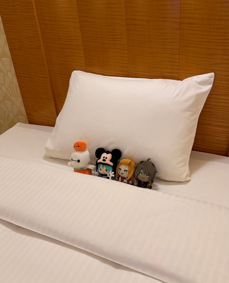 R_dwks_R's tweet photo. 今日はディズニー行きますよ〜‼️ https://t.co/LbKcchPGII