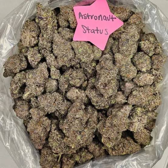 Sunil44185309's tweet photo. Premium plug prop notes &amp; CC weed Coke snow flake vape carts ZAZA bud loud whips ket mdma DMT thc liquid CBD dank shrooms hash edibles London, Birmingham, Manchester, Liverpool, Leeds,Sheffield,Bristol,Newcastle Nottingham,Leicester,Coventry, Southampton https://t.co/x3IbPrdWiW