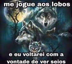 shadow12092006's tweet photo. @utopismos Votei nulo no primeiro turno, gostosas da esquerda e direita, me convençam na dm https://t.co/PsndEQcyum