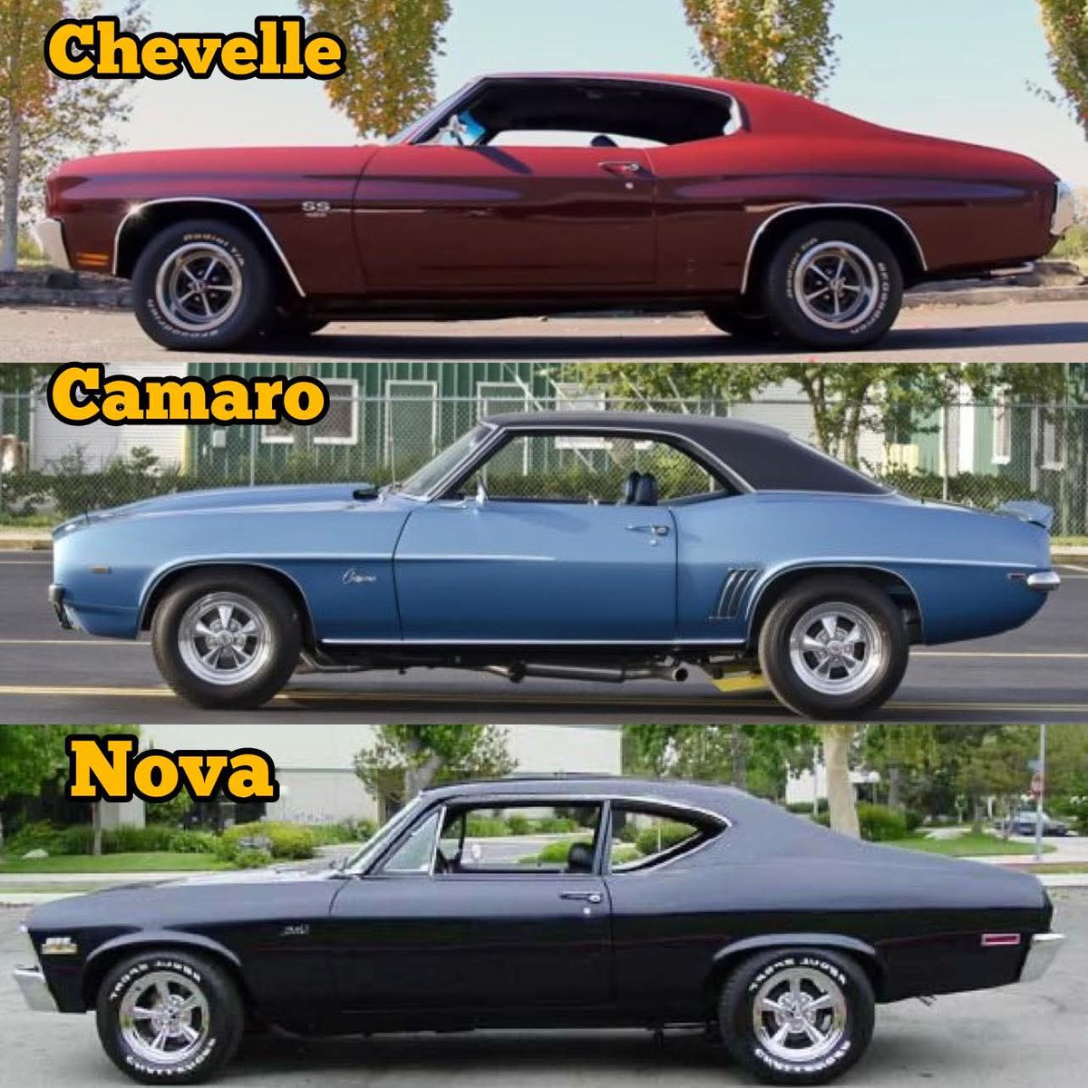 Col2Vintage's tweet photo. Top,Middle or Bottom 🤔 https://t.co/ENjiHOq7Qx