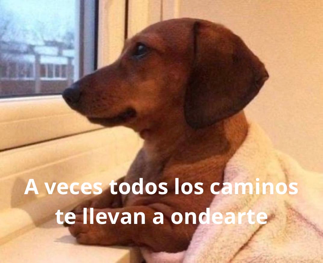 conoloracigarro's tweet photo. https://t.co/21aK3QXUGG