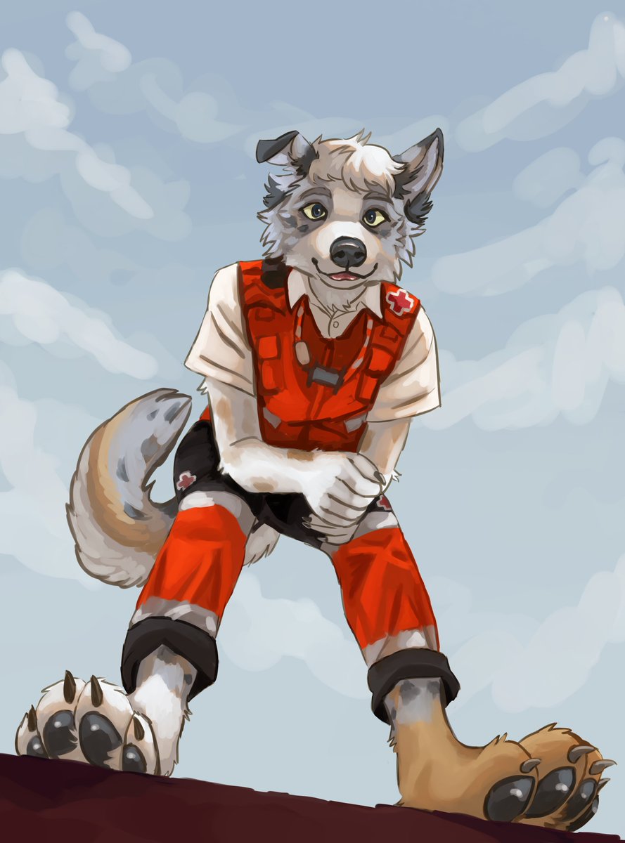 Ryedawgz's tweet photo. doggy is here to help! @aimmrk03 https://t.co/XjK4LoZCDK