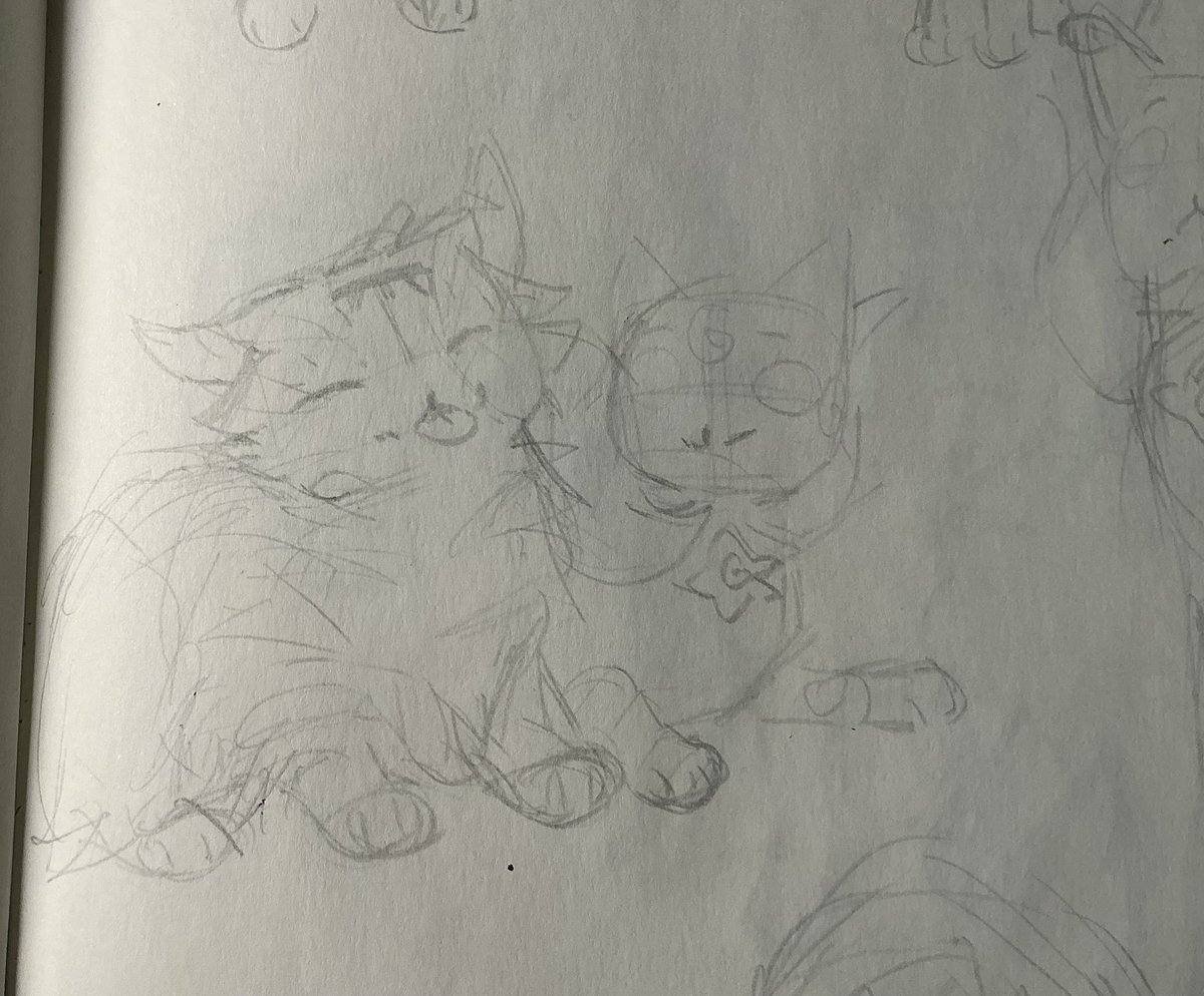kittemcani's tweet photo. magic kittens https://t.co/GE77ndafVj