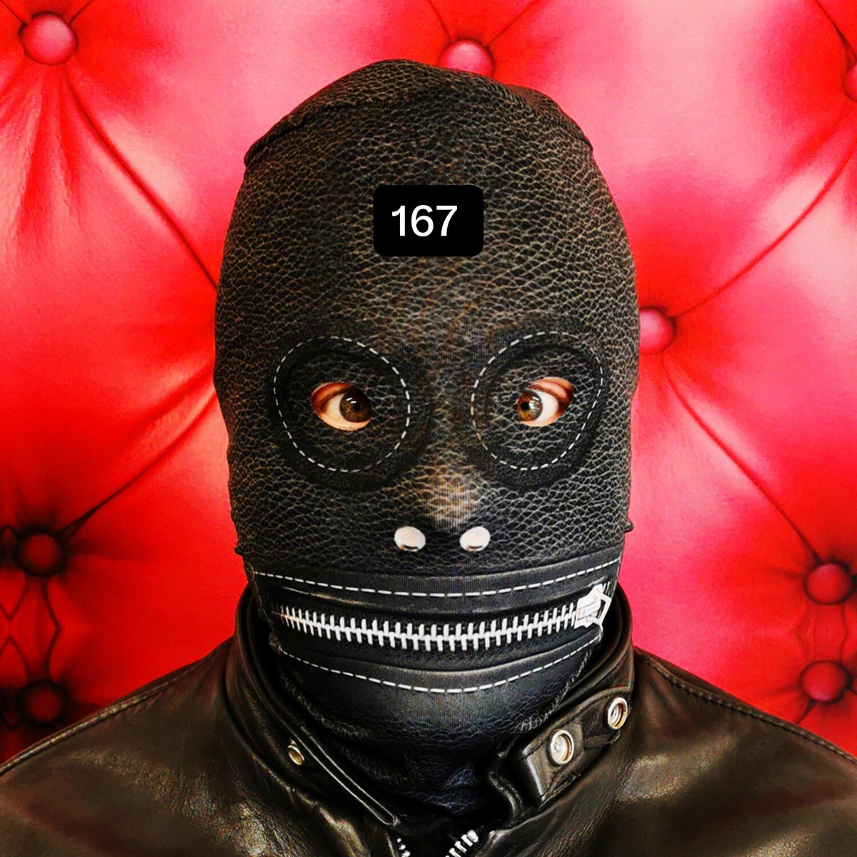 SpitroastW's tweet photo. Bryson has completly lost it!

So much so he has bought himself a Gimp Mask to wear in public so nobody recognises the wee kunt! https://t.co/7v7p4crI7h