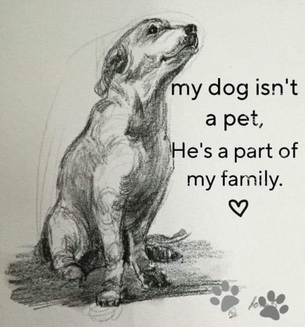 zoopholes's tweet photo. Zoopholia 
Artofzoo
HMU ON TELEGRAM Hey, let's switch to Telegram:https://t.co/QRNTPk67Vc
#zoophilia #bestiality #horsecum #doglover #dogknotting #dogsex #knotty #dogpill #dog #puppyleb #teenagegirls #NoLimit #Zoophilia  #dogknotting  #dogwhoreAOZ #k9girl #eroticart  #knottygirl https://t.co/qU1jB2RAuc