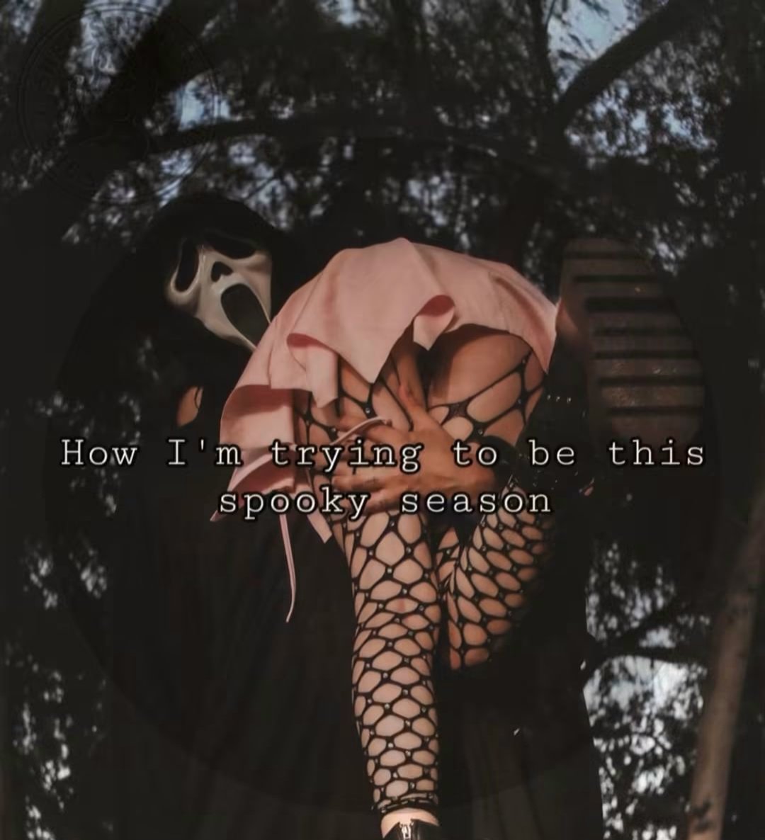 hauntedhotmess's tweet photo. 🙂‍↕️👉👈 https://t.co/NZ2jUGQFar