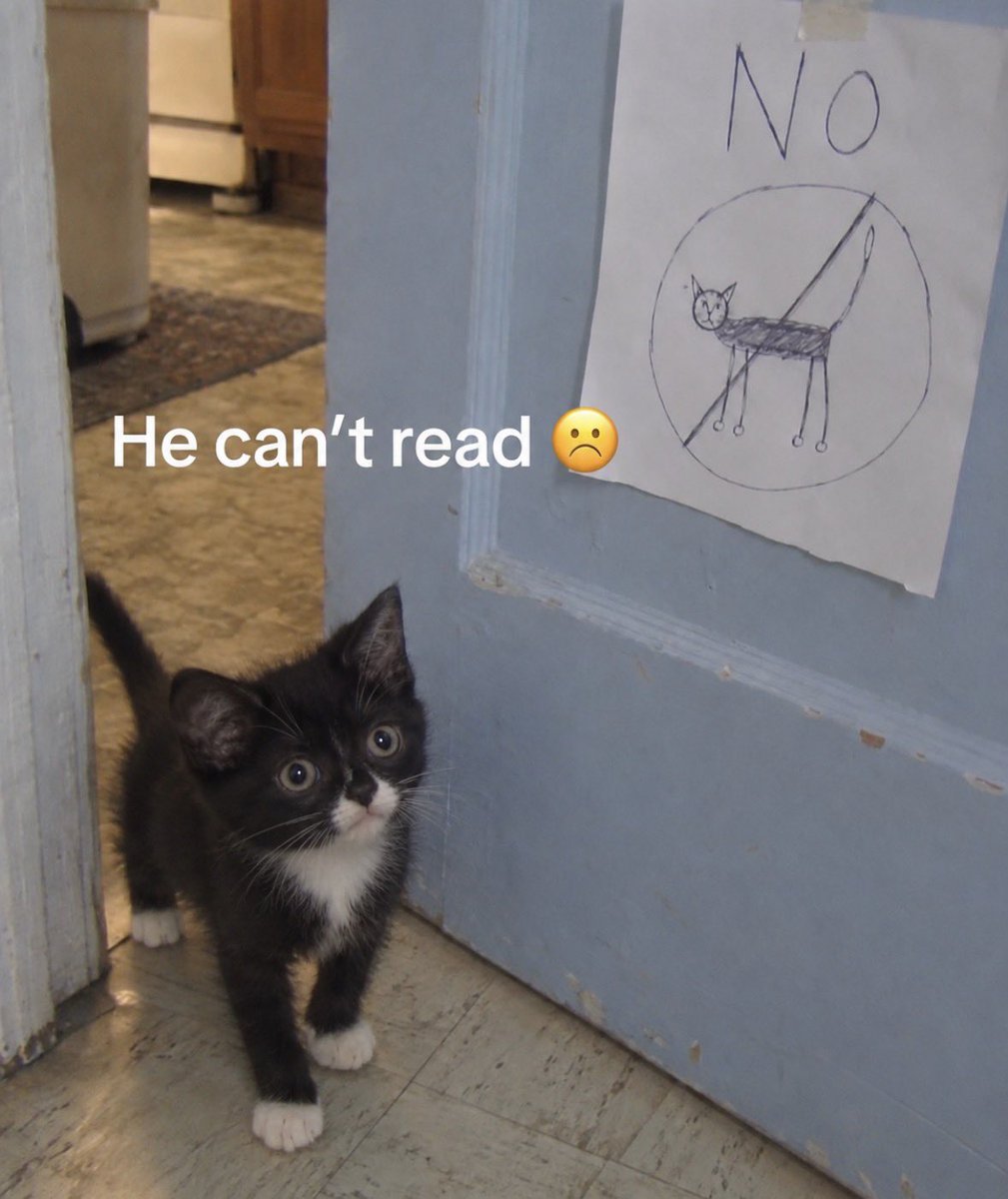 RespectfulMemes's tweet photo. https://t.co/05t48eWVi5