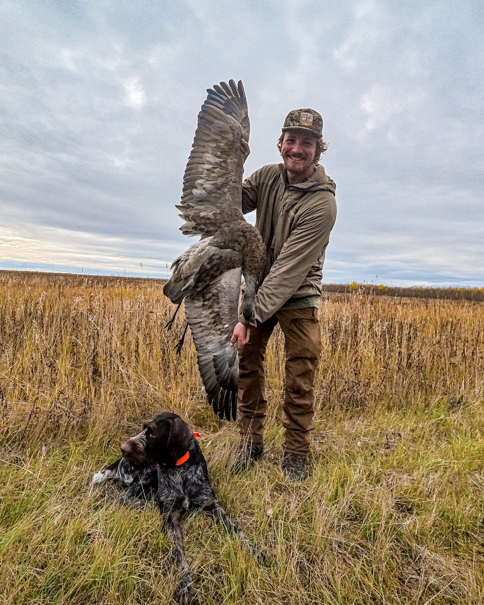 FieldandStream's tweet photo. They don't call sandhill cranes the ribeye of the sky for nothing.

#FSAlaskaCrane https://t.co/mBHVKcfPHq