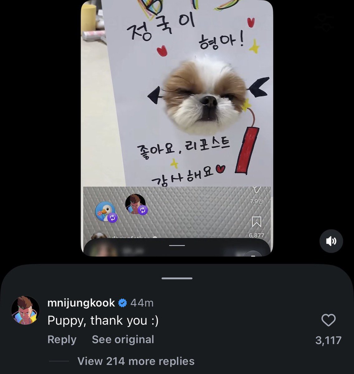 spideykyuu's tweet photo. AWWWWW PUPPYYYYYY https://t.co/fGYuRAPgIt