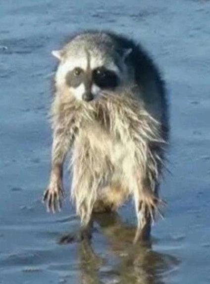 _itsmidnight_ tweet picture