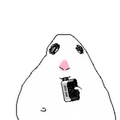 GoobSucks's tweet photo. crashing out last night cus i realized i wasn’t gonna be able to study everything for my anatomy exam today and my phones e sim decided to shit itself. 

only got 2 hours of sleep, but got the phone sorted out and learned i can check out bones at the resource center so we chillin https://t.co/PliPSkUHz9