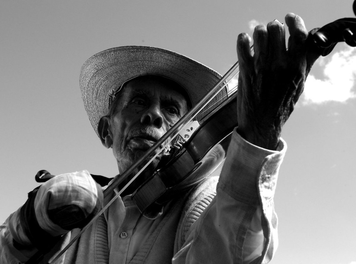 CinetecaMexico's tweet photo. Ya puedes encontrar EL VIOLÍN (2005) 🎻 en la cartelera de la Cineteca Nacional Chapultepec. 🟢

La ópera prima de Francisco Vargas regresa a la pantalla grande para recordar a Don Plutarco, un violinista que, junto a su hijo y su nieto, se unen a la guerrilla campesina y descubren el poder subversivo de la música. 

🎟️ Boletos, horarios y más. https://t.co/7ZoQBRbJ9a