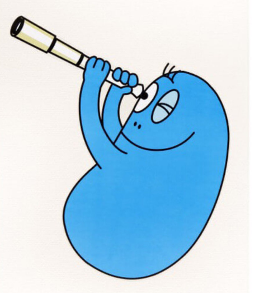 ccernsv's tweet photo. Moi qui surveille ses abonnements comme si j’étais la police pour voir quelle nouvelle barbapute est apparue https://t.co/obOVwWDqUh