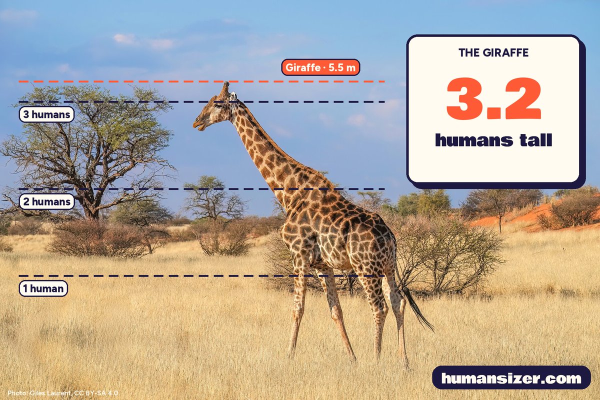 HumansizerGame tweet picture
