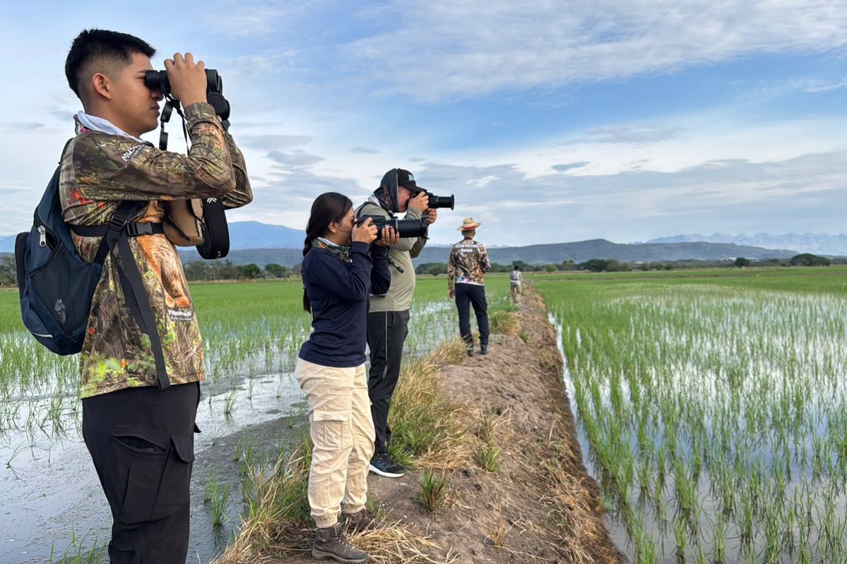 CAMHUILA's tweet photo. #NoticiasCAM | Huila se prepara para registrar su avifauna durante el October Big Day 👉🏻 https://t.co/CixGHeCwvj Un total de 15 municipios y cerca de 160 personas participarán en esta jornada mundial de ciencia ciudadana, que busca ampliar el registro de aves del departamento 🦜 https://t.co/BdV8ut4y3r