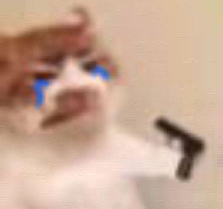 elixgn tweet picture
