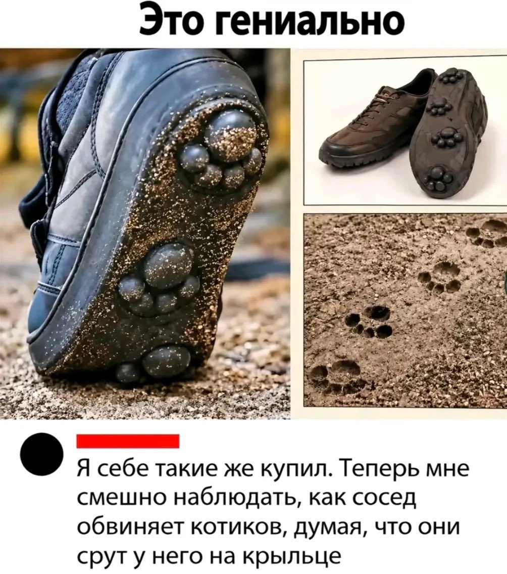 deepbackend's tweet photo. Посоны? https://t.co/PnVBuxPyv3